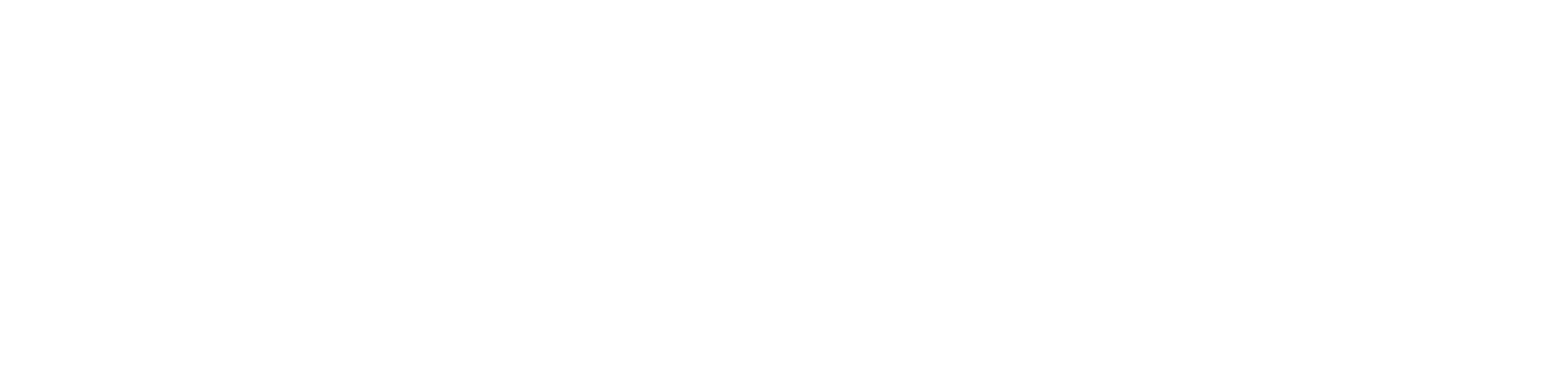CineVideoBlog